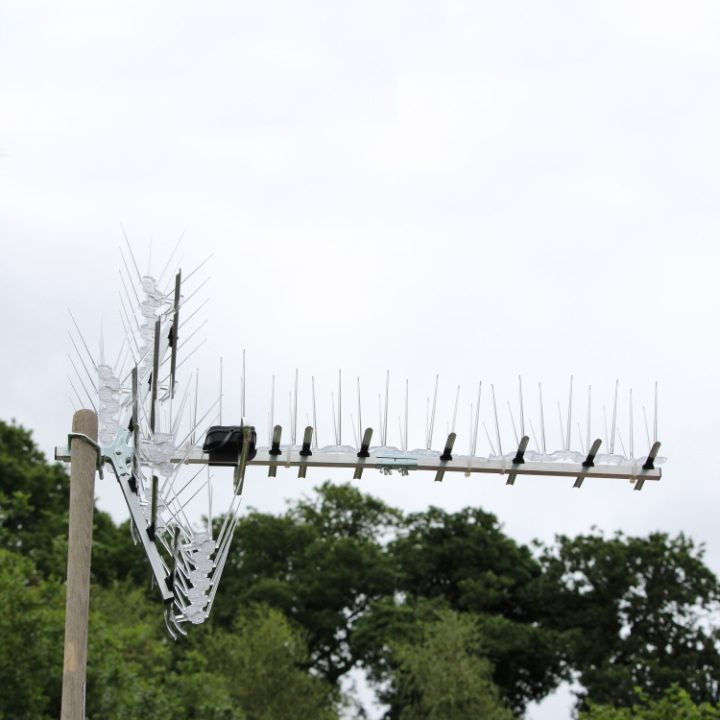Defender® TV Aerial Pigeon Spikes stop pigeon roosting on aerials but do not interfere with TV signal