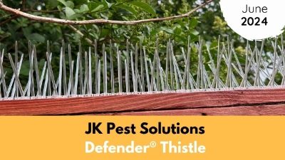 JK Pest Solutions | June | 2024