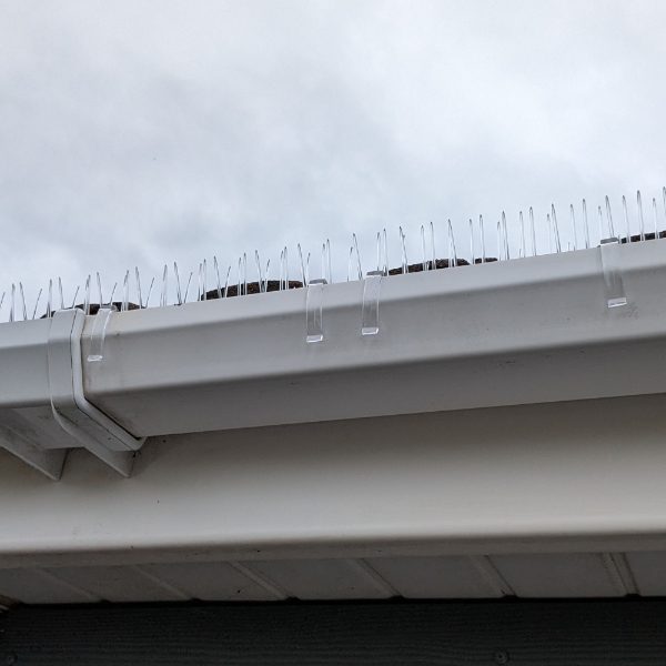 Defender® Thistle® Gutter Spikes - Are very discreet and hard to see once installed.