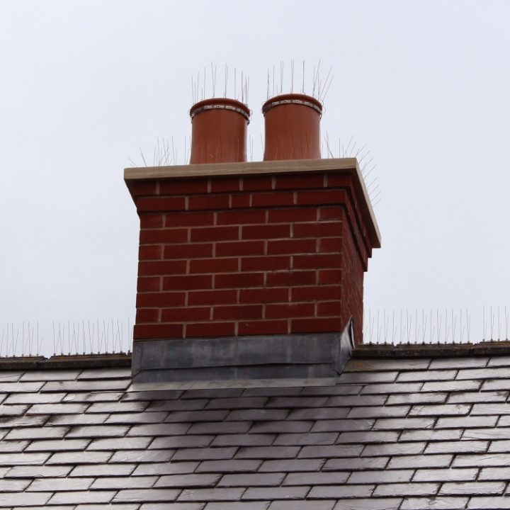 Two Defender® Chimney Pot Spikes installed on round open chimney pots
