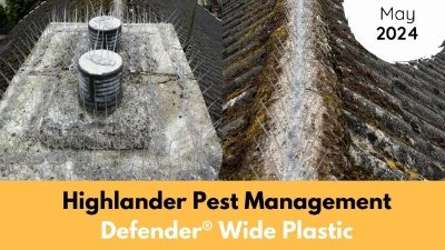 Highlander Pest Management | May | 2024