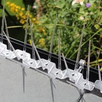 Close up of Defender® Gutter Spikes installed on half-round guttering with clip