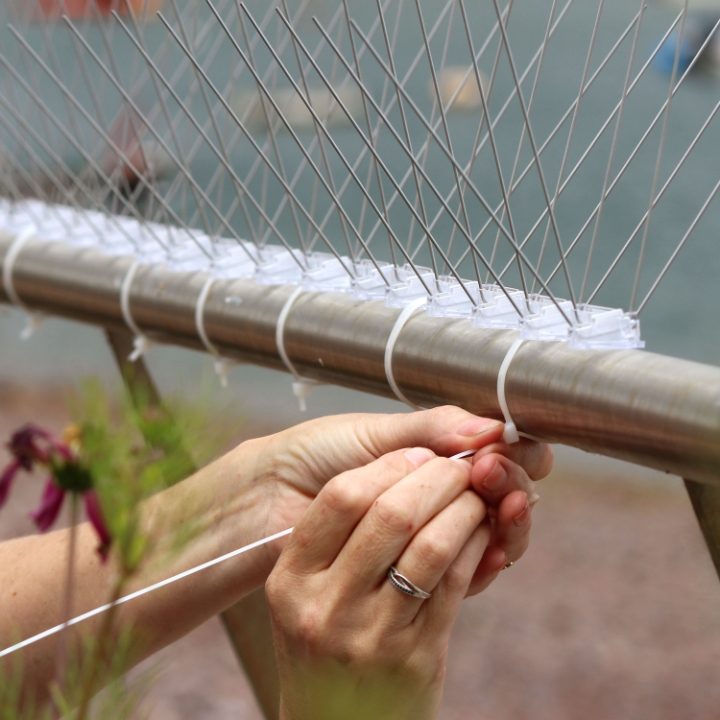 Hands installing Defender® Seagull Spikes with cable ties on to a stainless steel rainling