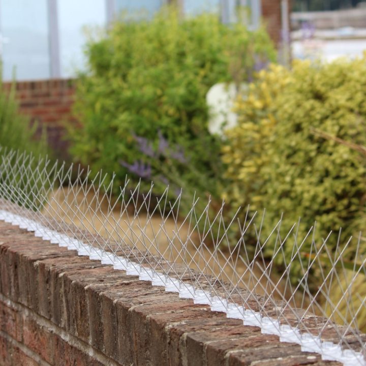 Defender® Seagull Spikes installed on a brick wall to stop seagulls from landing, roosting and nesting
