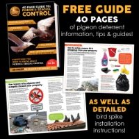 Defender® Extra Wide Pigeon Plex Spikes come with a FREE Bird Control Guide