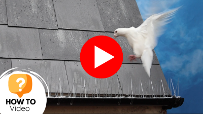 How to Stop Pigeons Nesting & Sitting in Gutters - Defender Gutter Spikes