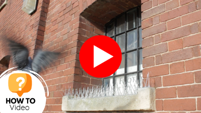 How to Install Defender Bird Spikes & Pigeon Spikes