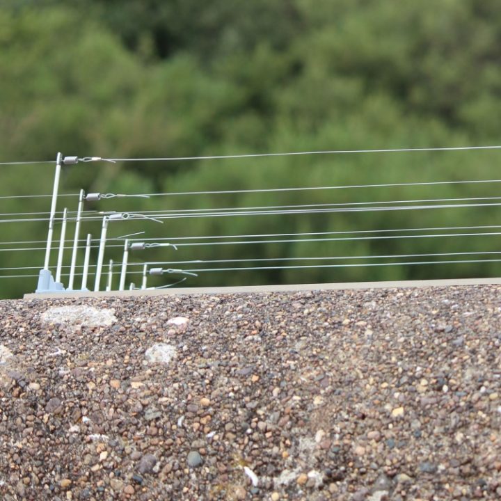 Defender® Bird Post and Wire Holders installed on a wall to stop pigeons and seagull from landing