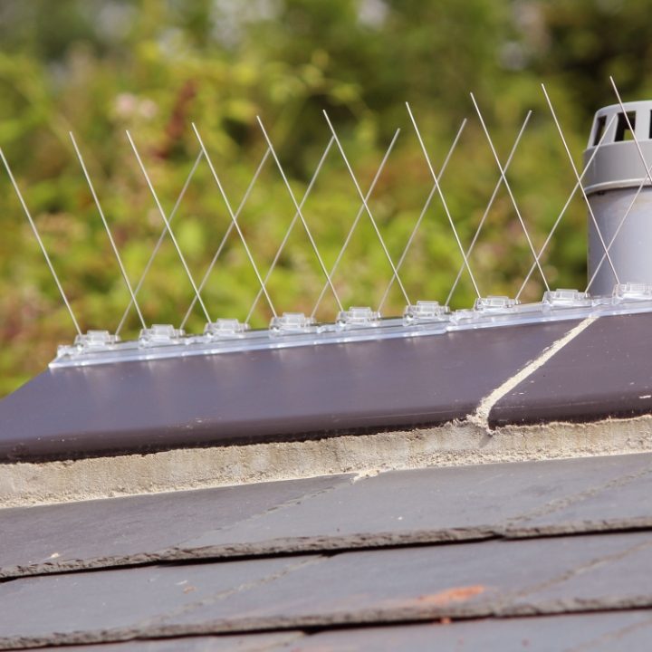 Defender® Angled  Ridge Spikes installed on grey angled ridge tiles on a roof
