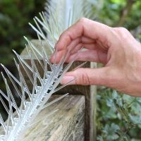 Defender® Thistle® Small Bird Spike being installed to stop starlings and sparrows on a fence