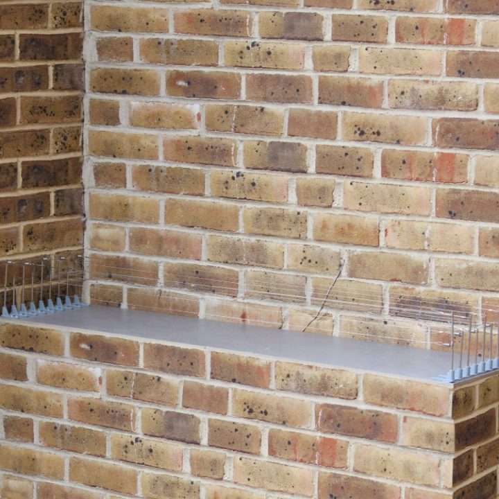 Defender® Bird Post and Wire Holders installed on brick ledge where birds were overnight roosting and perching