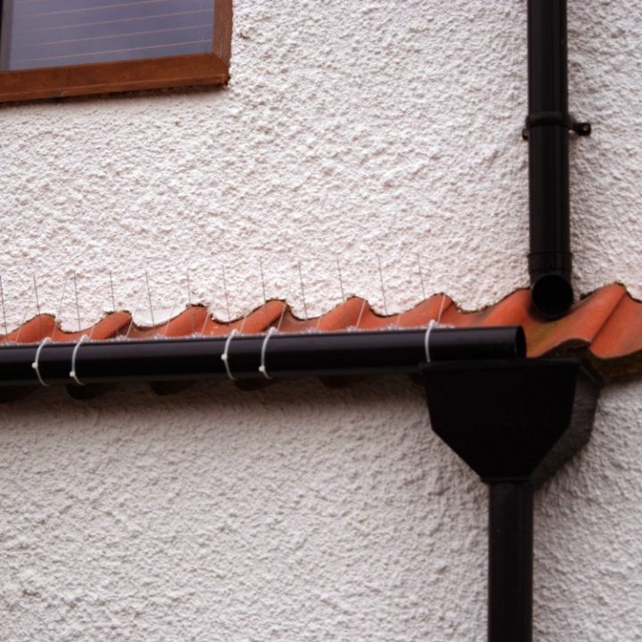 Defender® Pipe Spikes on house pipe to stop pigeons