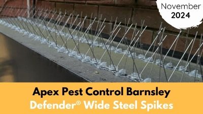 Apex Pest Control Barnsley | November | 2024