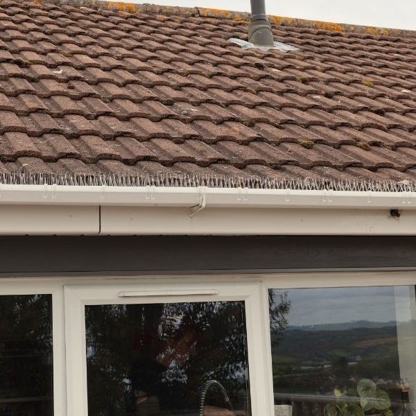 Defender® Thistle® Gutter Spikes - Stop all birds from landing in your guttering
