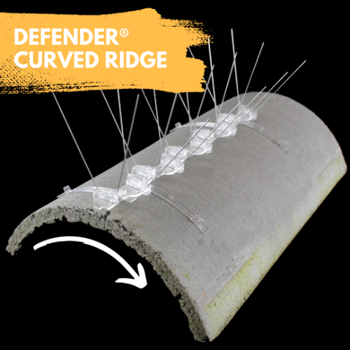 Defender Curved Roof Ridge Bird Spikes - Fits all curved roofing tiles