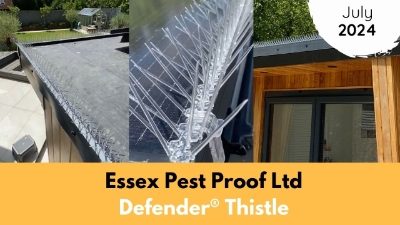 Essex Pest Proof Ltd | July | 2024