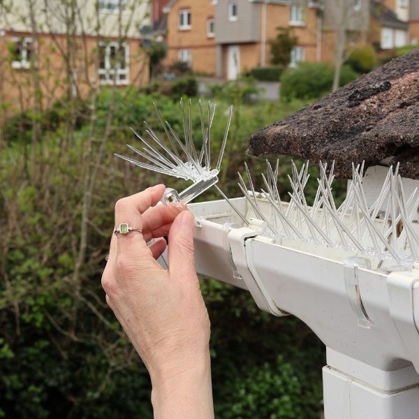 Defender® Thistle® Gutter Spikes - Snappable to size to finish a guttering hopper or row