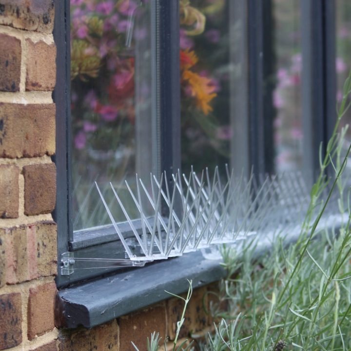 Defender® Opening Window Spikes protect a window sill but allows the window to still open