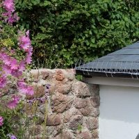 Defender® Gutter Spikes installed on house guttering are very discreet once installed 