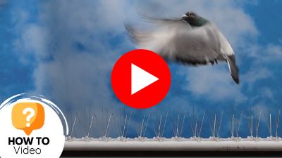 How to Stop Pigeons Landing on a Ledge Using Defender Bird Spikes