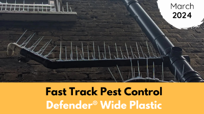 Fast Track Pest Control | March | 2024