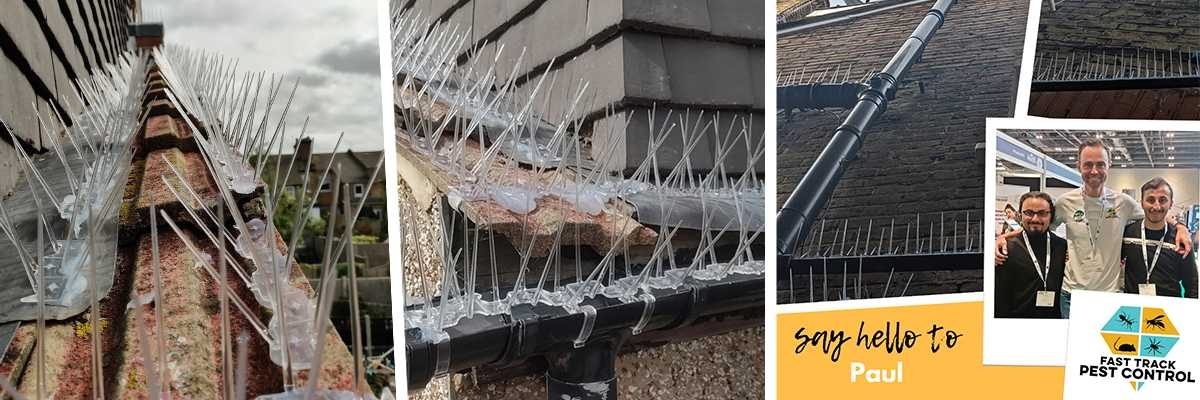 Fast Track Pest Control - Winners Banner | Defender Bird Spikes Installer of the Month
