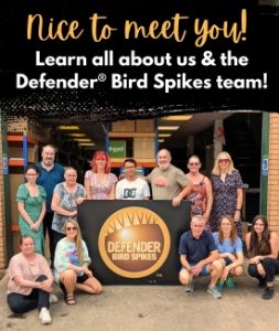 About Us | Learn all about us and the Defender Bird Spikes team