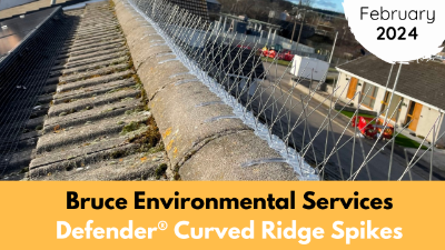 Bruce Environmental Services | February | 2024