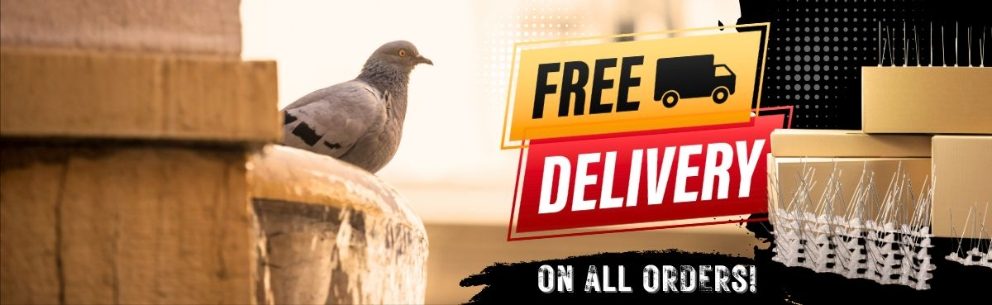 FREE Delivery on All Orders | Defender Bird Spikes