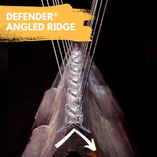 Defender Angled Roof Ridge Bird Spikes - Fit all angled roofing tiles