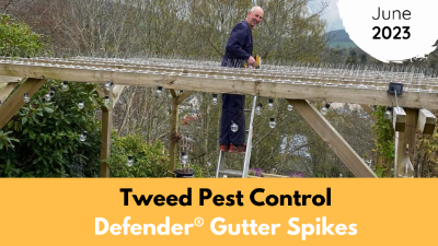 Defender® Installer of the Month | June | Tweed Pest Control