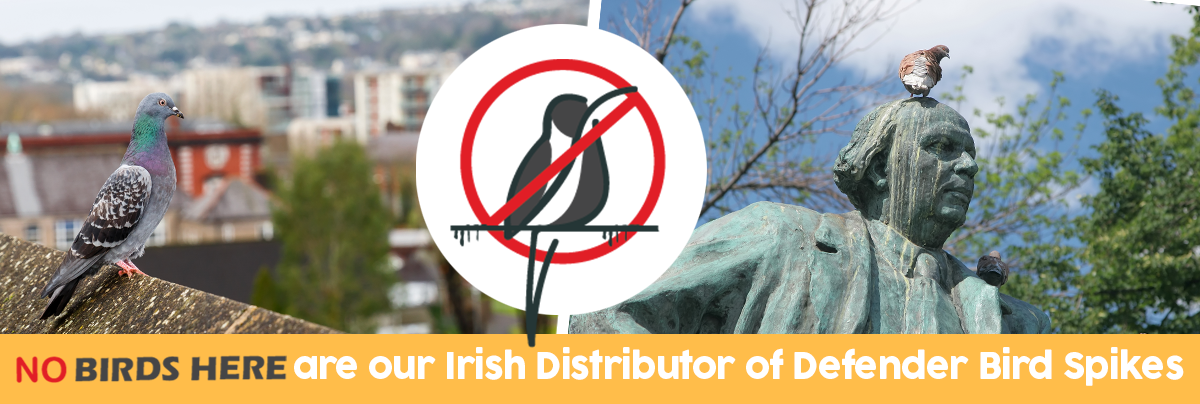 No Birds Here - Our Irish Distributor of Defender Bird Spikes