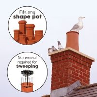 Defender® Chimney Pot Spikes allows the chimney to still be swept