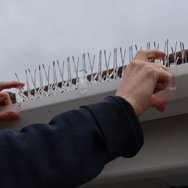 Defender® Thistle® Gutter Spikes - Are easy and quick to install