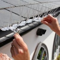 Hands installing Defender® Gutter Spikes which are very quick & easy to install