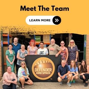 Meet the Defender Bird Spikes Team - Staff Photos and Roles