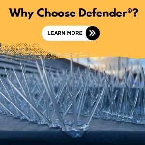 Why choose Defender Bird Spikes - Buy from the UK Manufacturer of Bird Spikes