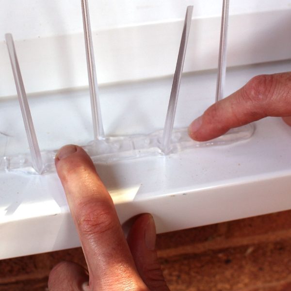 Defender Narrow Plastic Pigeon Spikes can be installed on window sills with Defender Fixing Silicone
