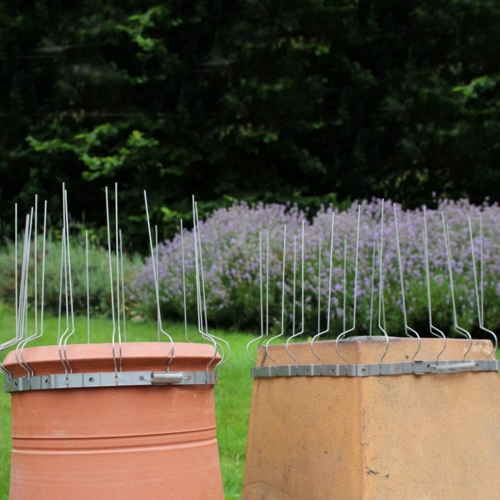 Defender® Chimney Pot Spikes installed on to a round and square chimney pot